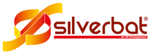 Logo-SilverBat-300x109-1.png